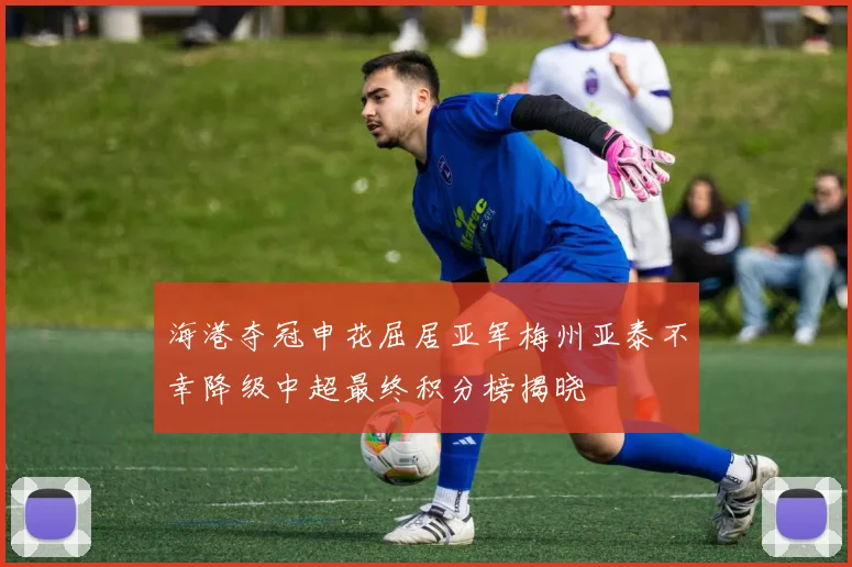 海港夺冠申花屈居亚军梅州亚泰不幸降级中超最终积分榜揭晓