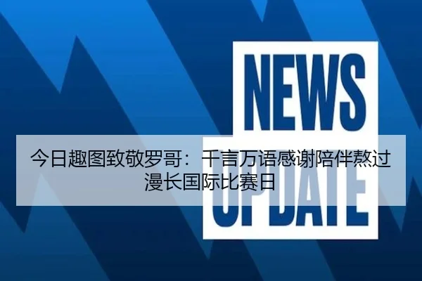 今日趣图致敬罗哥：千言万语感谢陪伴熬过漫长国际比赛日